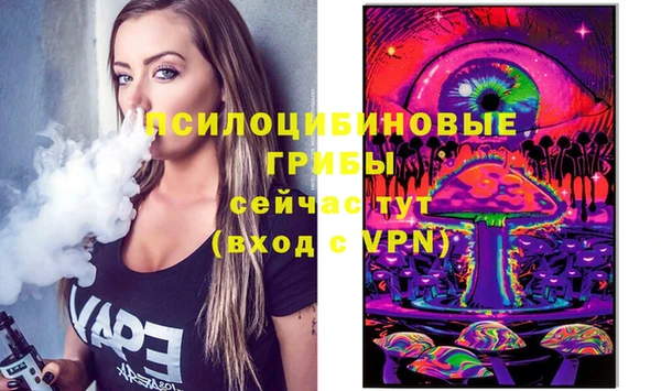 mdpv Кукмор